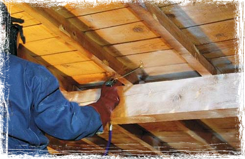 Traitement termites toiture couvreur Mérignac 